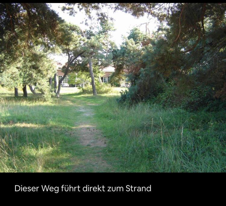 Die Kleine Acht - Direkt Am Strand Dierhagen Eksteriør billede